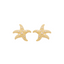 Brinco Starfish