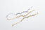 Pulseira Riviera Water Topázios Brancos