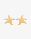 Brinco Starfish